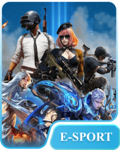 esport-icon